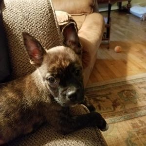 Meet your Posher, Lynn